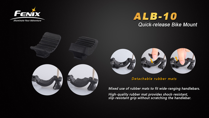 ALB10_4.jpg